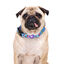 Dukier Mermaid collar para perros, , large indicador imagen numero 2