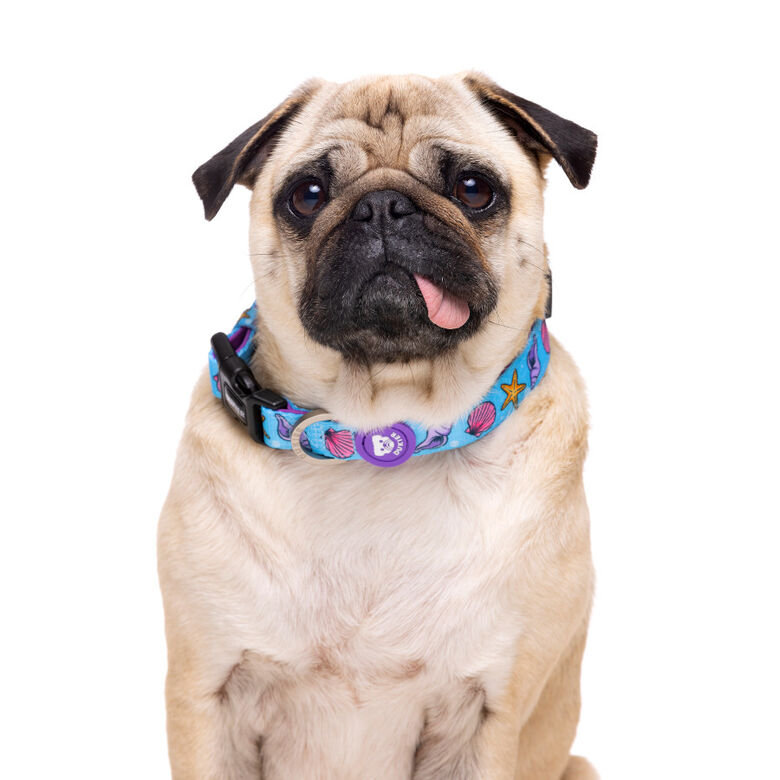 Dukier Mermaid collar para perros thumbnail