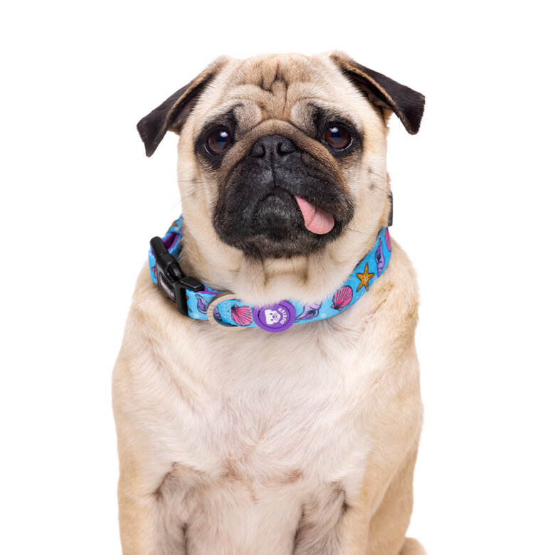 Dukier Mermaid collar para perros,  Imagen numero 2 Dukier Mermaid collar para perros, , large Imagen numero 2