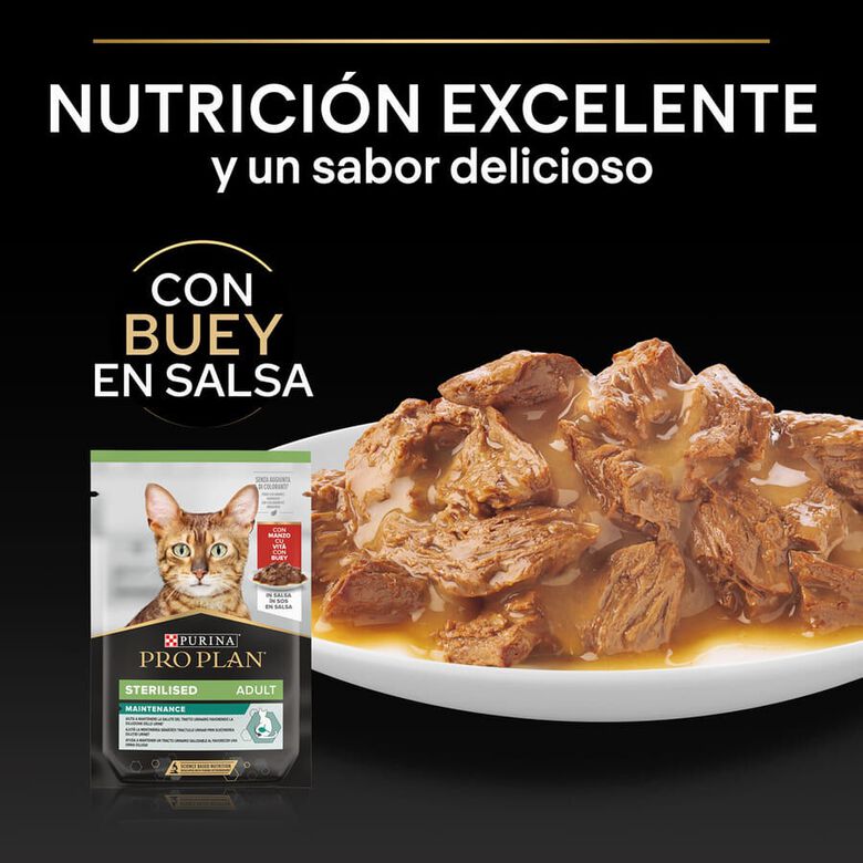 Pro Plan Sterilised Maintenance sobre con Buey en salsa para gatos thumbnail