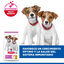 6 kg Hill's Science Plan Puppy Small y Mini Pollo Pienso para cachorros, , large indicador imagen numero 4