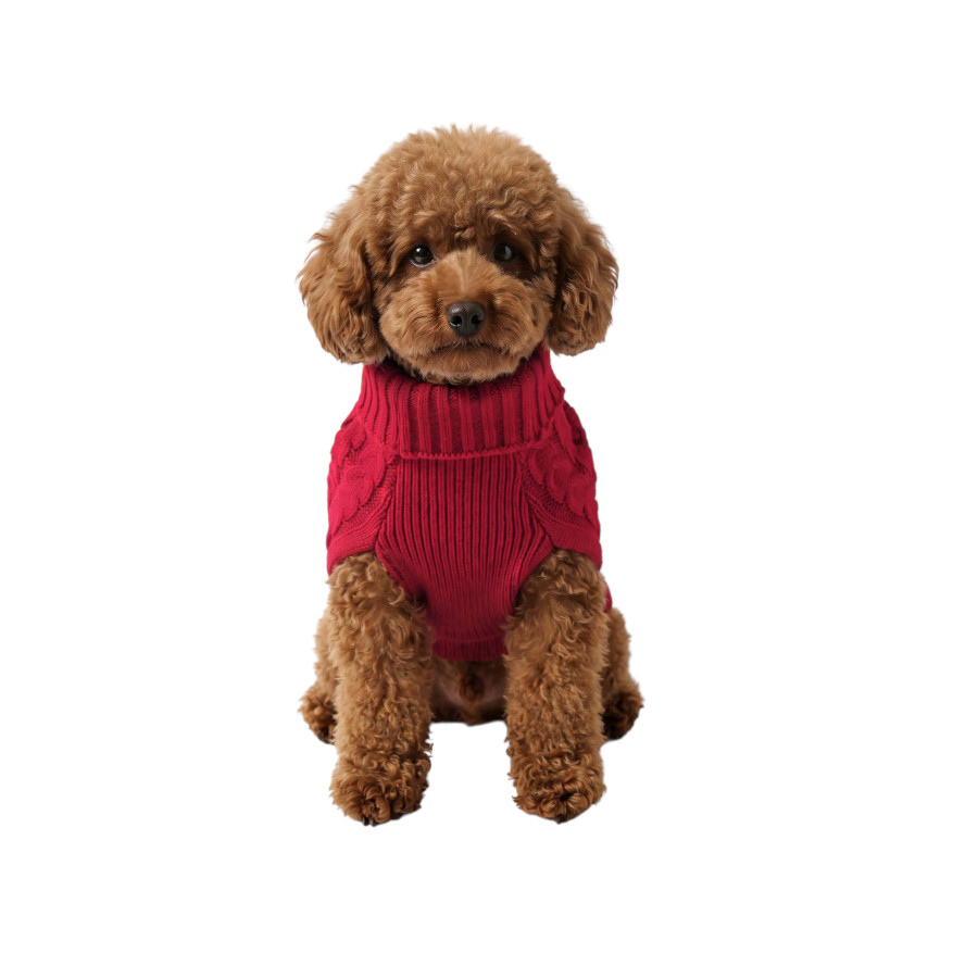 Gotoo Jersey de Punto Rojo para perros, , large Imagen numero 7