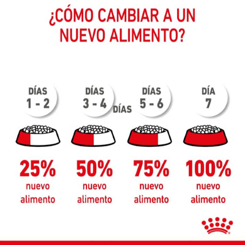 Royal Canin Kitten Sterilised pienso para gatos, , large image number null