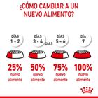 Royal Canin Kitten Sterilised pienso para gatos, , large image number null