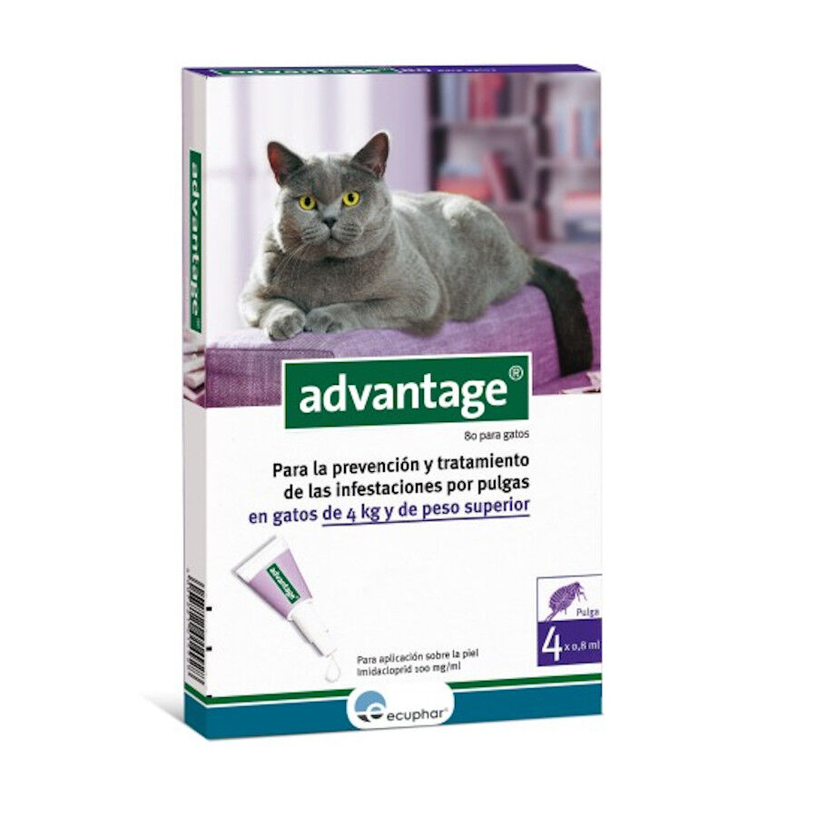 Advantage pipetas antiparasitarias para gatos, , large Imagen numero 1