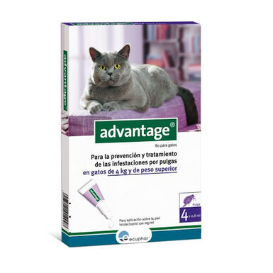 Advantage pipetas antiparasitarias para gatos