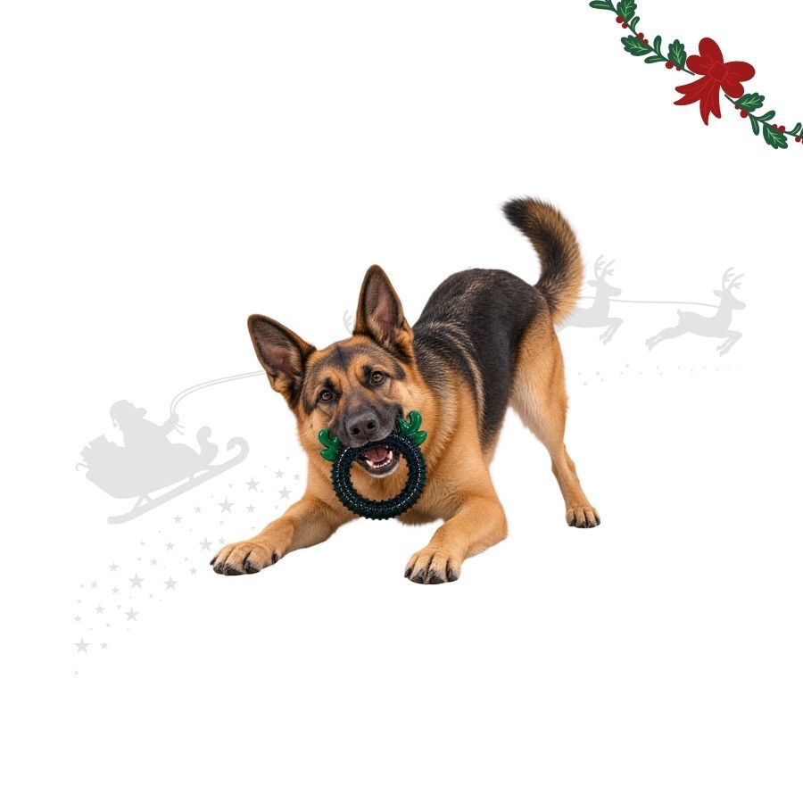 Wonder Christmas Aro de Reno Juguete para perros, , large Imagen numero 1