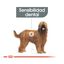 Royal Canin Dental Care Maxi pienso para perros, , large indicador imagen numero 4