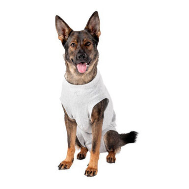Arashigaoka R carbón Flamingo Body Gris para perros | Kiwoko