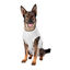 Flamingo Body Gris para perros, , large indicador imagen numero 1