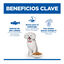 6 kg Hill's Science Plan Hipoalerg&eacute;nico Small y Mini Salm&oacute;n pienso para perros, , large indicador imagen numero 3