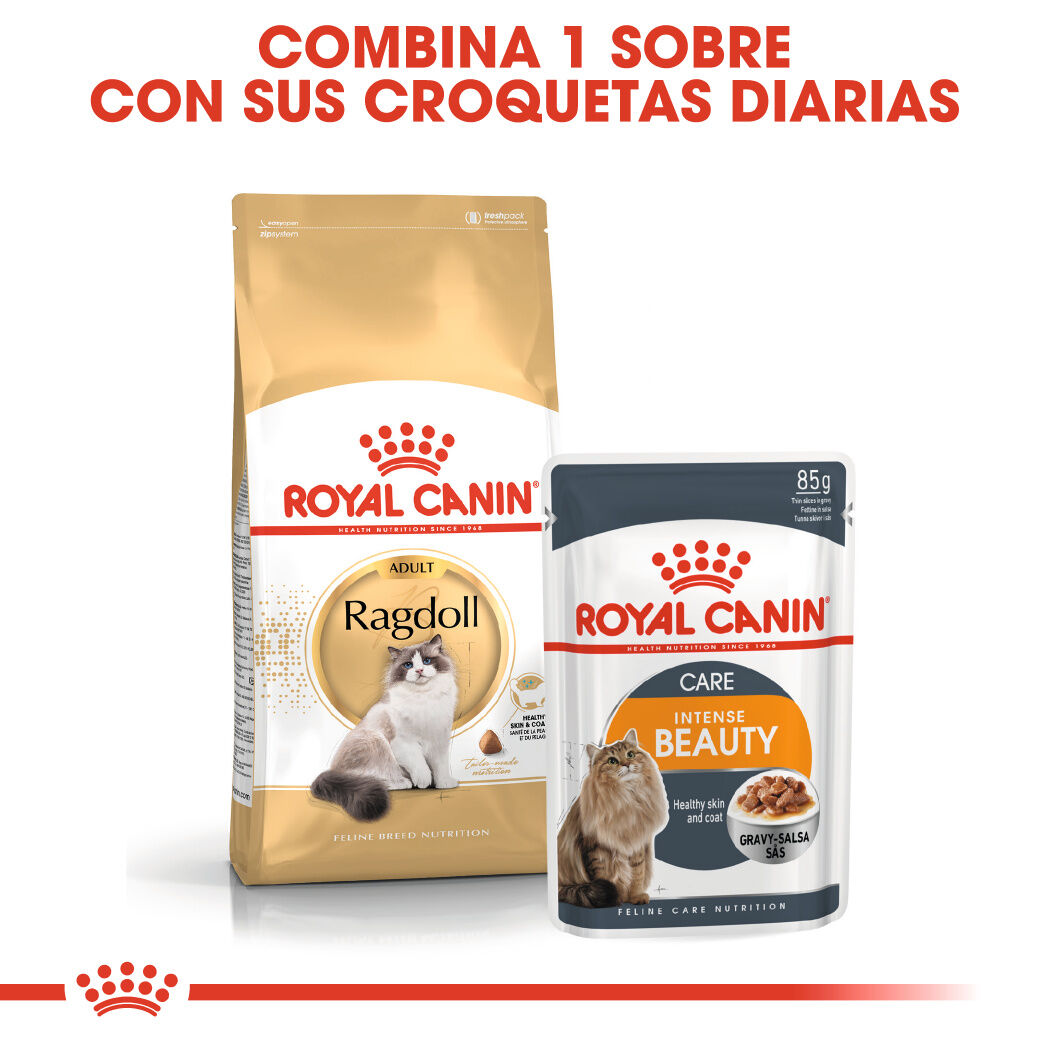 Royal Canin Adult Ragdoll pienso para gatos thumbnail