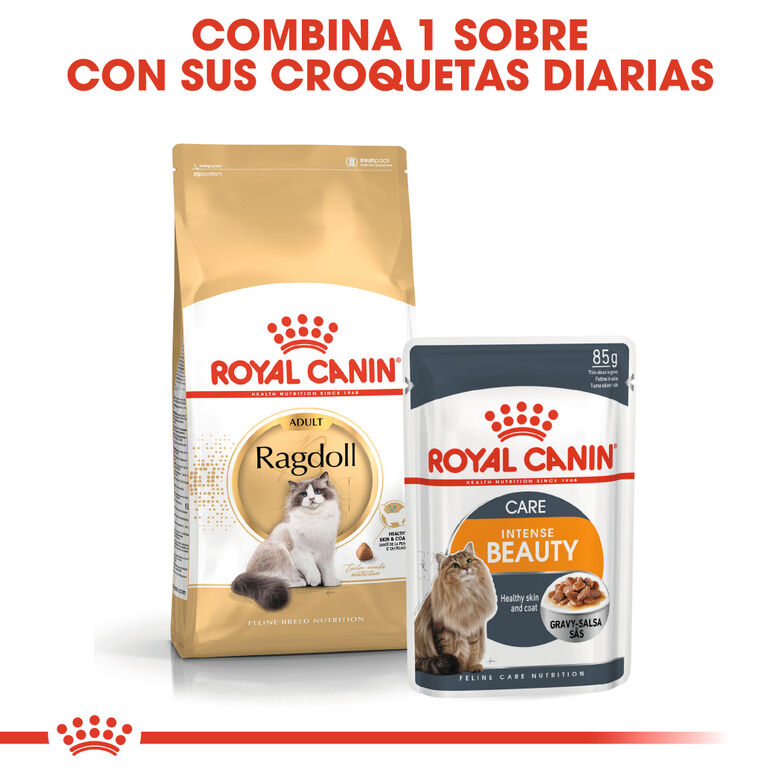 Royal Canin Adult Ragdoll pienso para gatos thumbnail