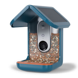 Birdbuddy Comedero Inteligente con C&aacute;mara para p&aacute;jaros