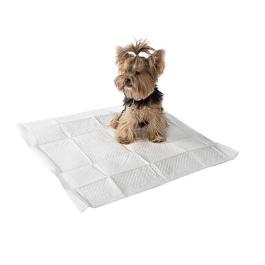 Empapadores Para Mascota 100 Unidades 60x60 Cm Textil No Tejido Vidaxl con  Ofertas en Carrefour