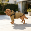 Gotoo Chaqueta Impermeable con Arn&eacute;s para perros, , large indicador imagen numero 1