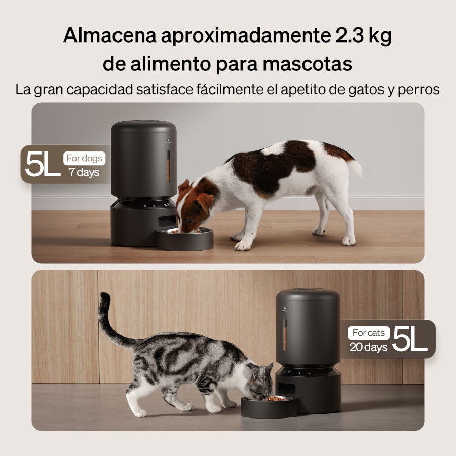Petlibro Granary Wi-Fi Comedero Autom&aacute;tico Negro para perros y gatos, , large Imagen numero 6