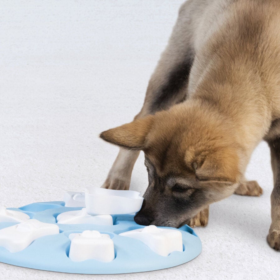 Outward Hound Puppy Smart Rompecabezas para cachorros, , large Imagen numero 3