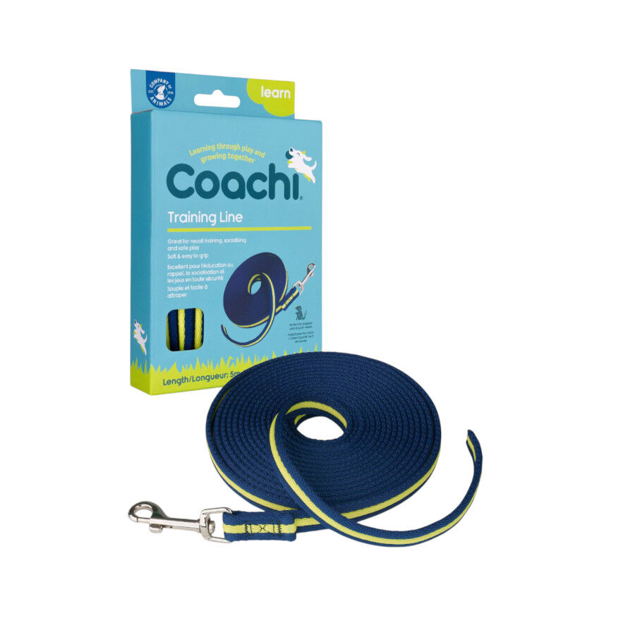 Coachi correa de 5 metros azul para perros, , large Imagen numero 3