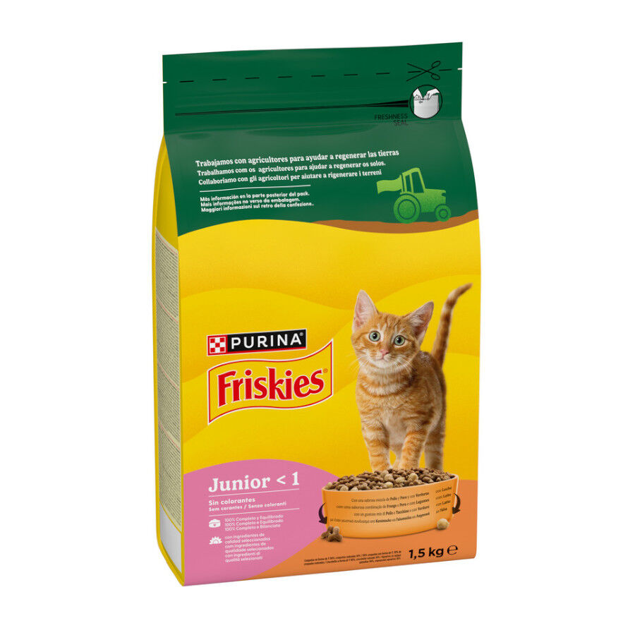 1.5 kg Friskies Junior pienso para gatos , , large Imagen numero 3