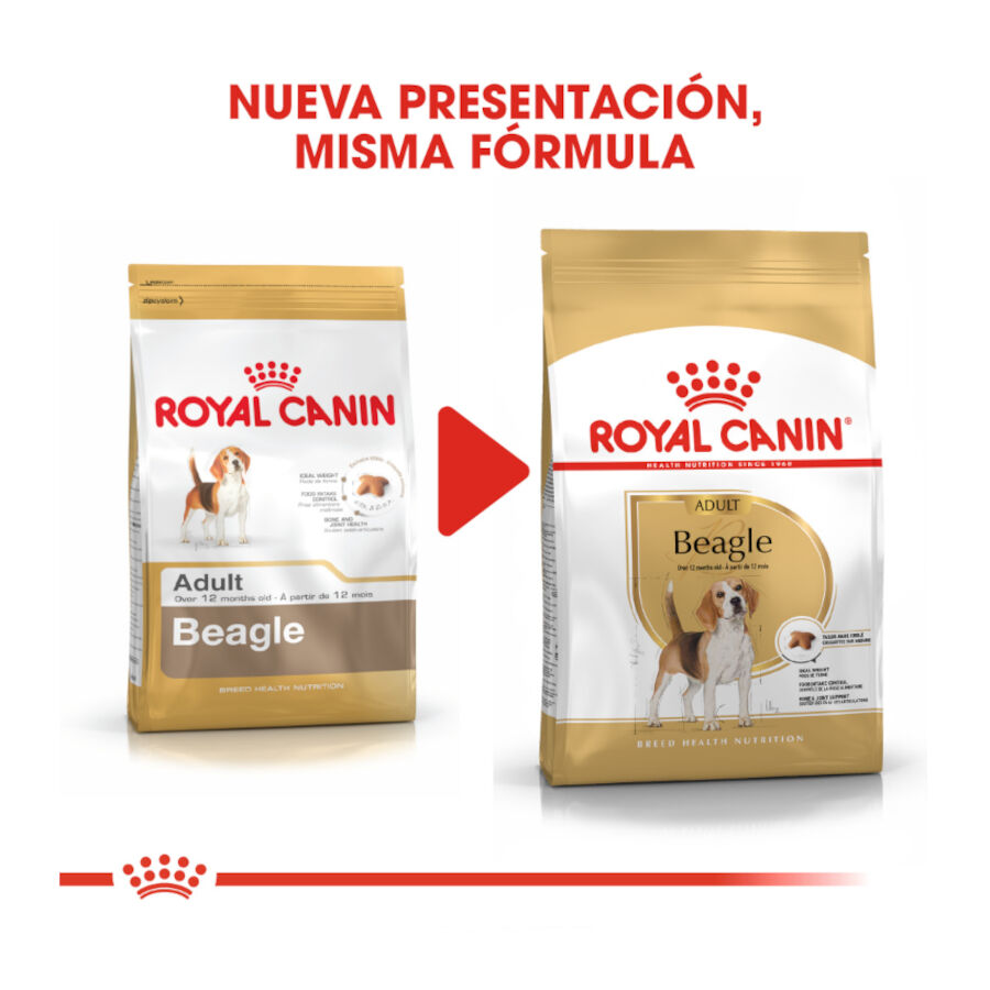 Royal Canin Adult Beagle pienso para perros thumbnail