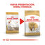 3 kg Royal Canin Adult Beagle pienso para perros, , large indicador imagen numero 3