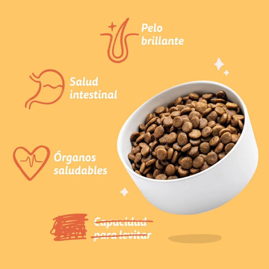 3 kg Edgard & Cooper Pienso Pollo para perros adultos mini, , large Imagen numero 5