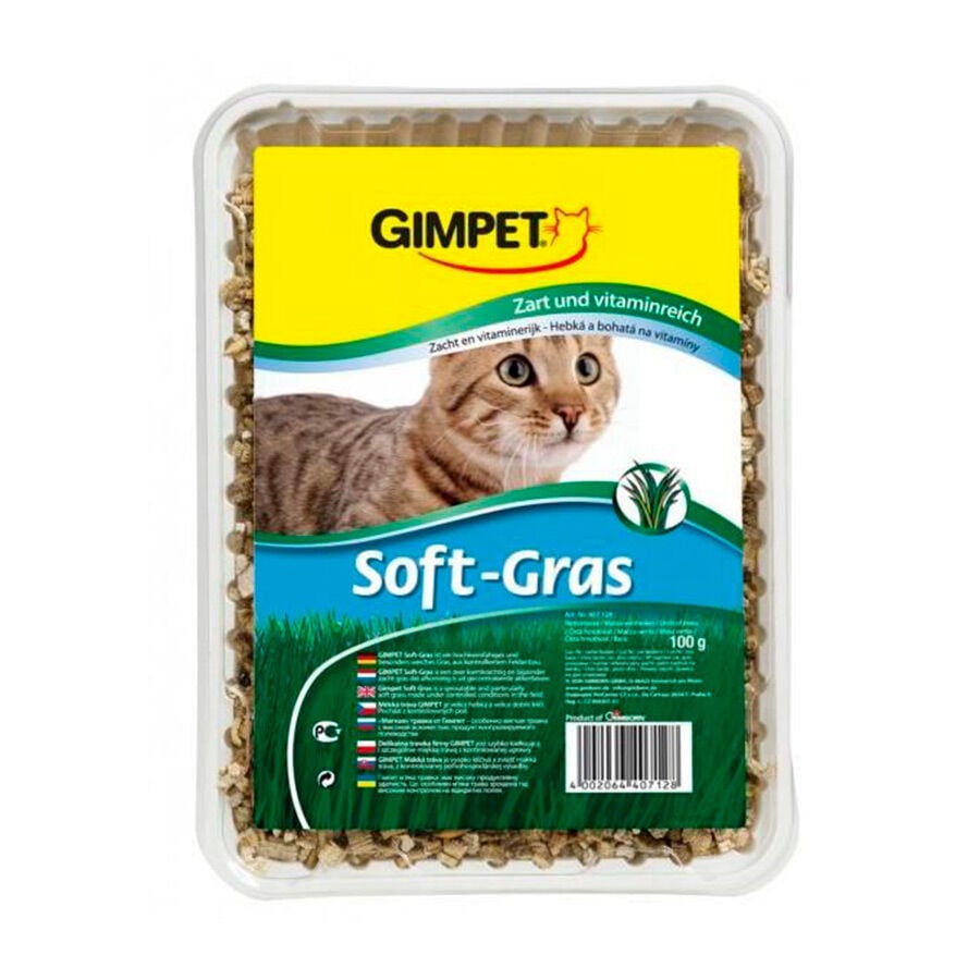 100 g GimCat Soft-Gras Hierba Gatera, , large Imagen numero 1