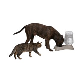 Leeby Tolva Dispensador de Agua para perros y gatos