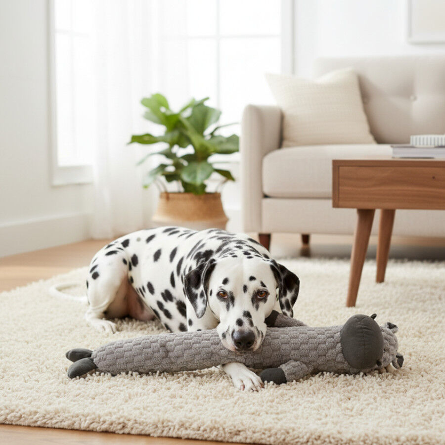 Tootoy! Hipopótamo Largo de Peluche con Sonido para perros