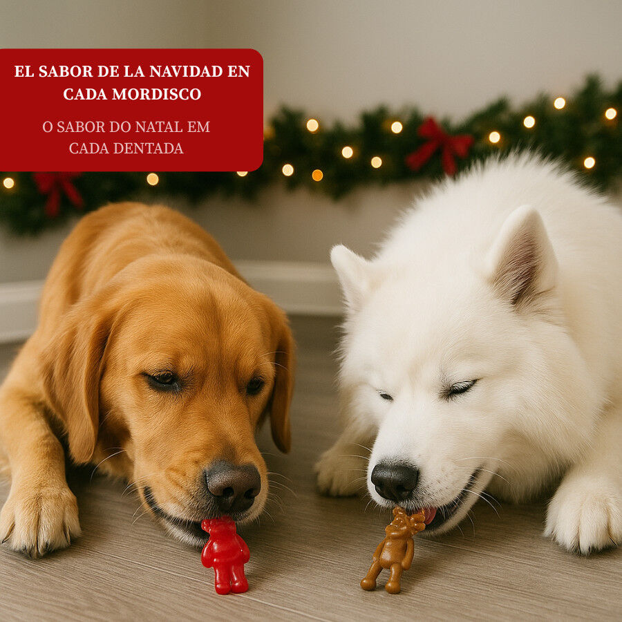 Wonder Christmas Snacks Reno&amp;Santa Navideños para perros thumbnail
