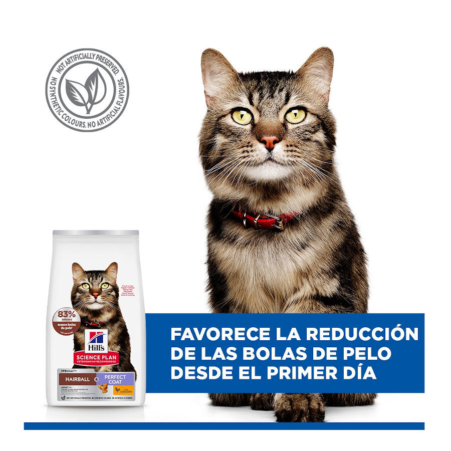 7 kg Hill's Science Plan Adult Hairball y Perfect Coat Pollo pienso para gatos, , large Imagen numero 4