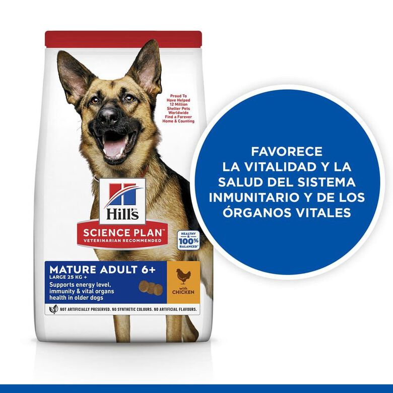 Hill&#039;s Science Plan Mature Adult Large Pollo pienso para perros thumbnail