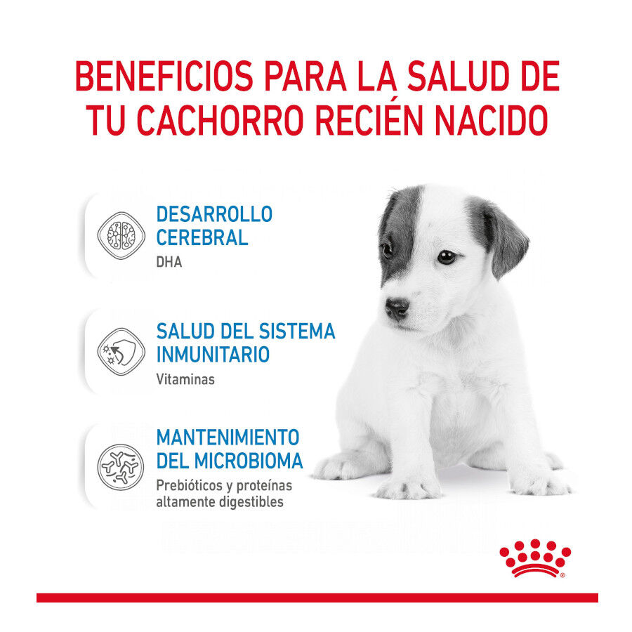 2 kg Royal Canin Leche para cachorros primer a&ntilde;o, , large Imagen numero 6