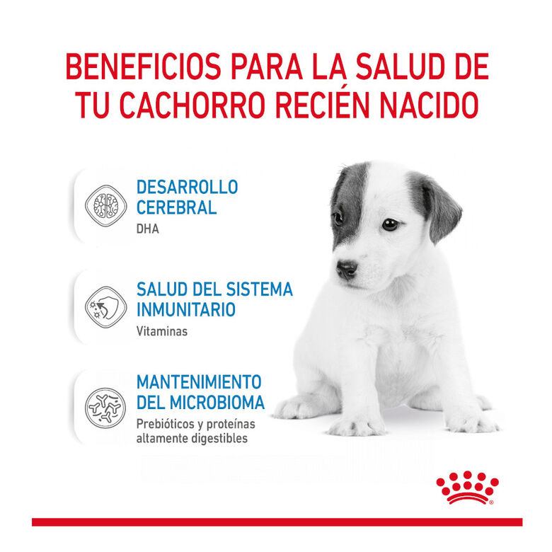 Royal Canin Leche para cachorros primer año thumbnail