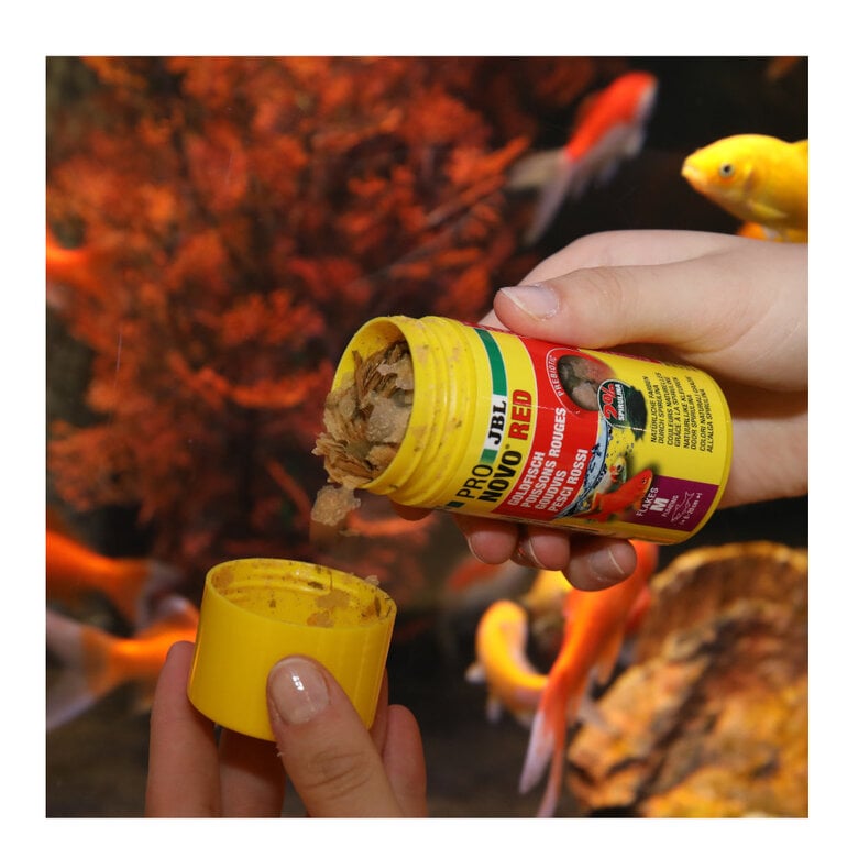 JBL ProNovo Red Flakes M alimento para peces,  Imagen numero 2 JBL ProNovo Red Flakes M alimento para peces, , large Imagen numero 2
