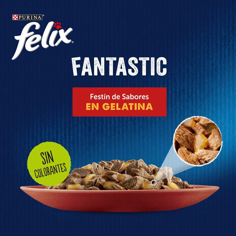 Felix Fantastic Carne en Gelatina sobre para gatos thumbnail