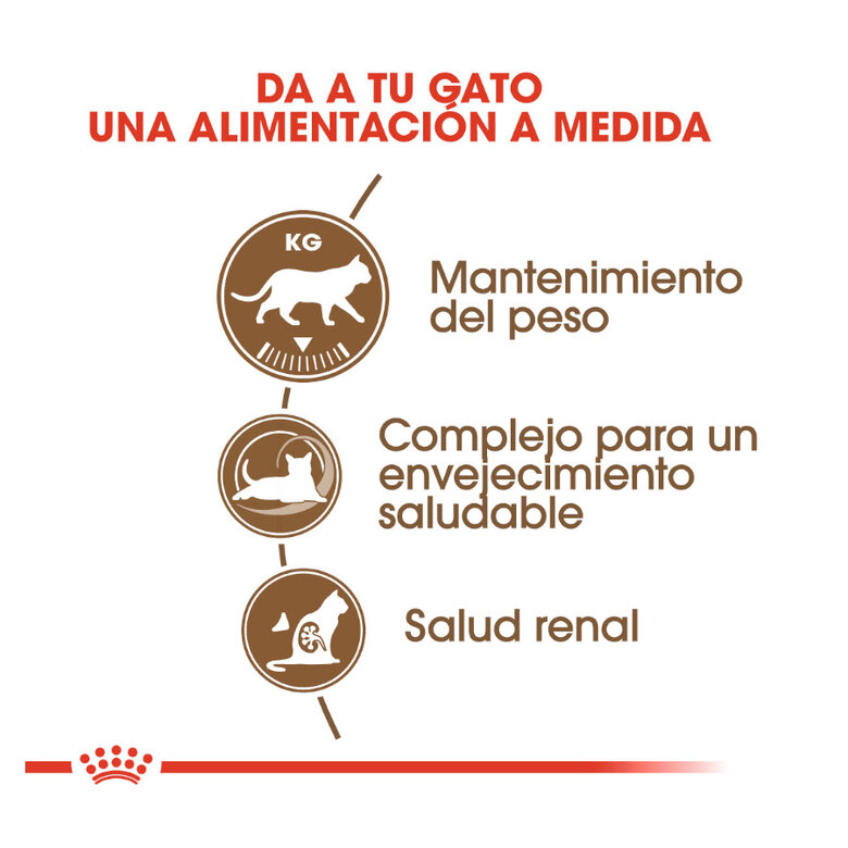 2 kg Royal Canin Ageing 12+ Sterilised pienso para gatos,  Imagen numero 5 2 kg Royal Canin Ageing 12+ Sterilised pienso para gatos, , large Imagen numero 5