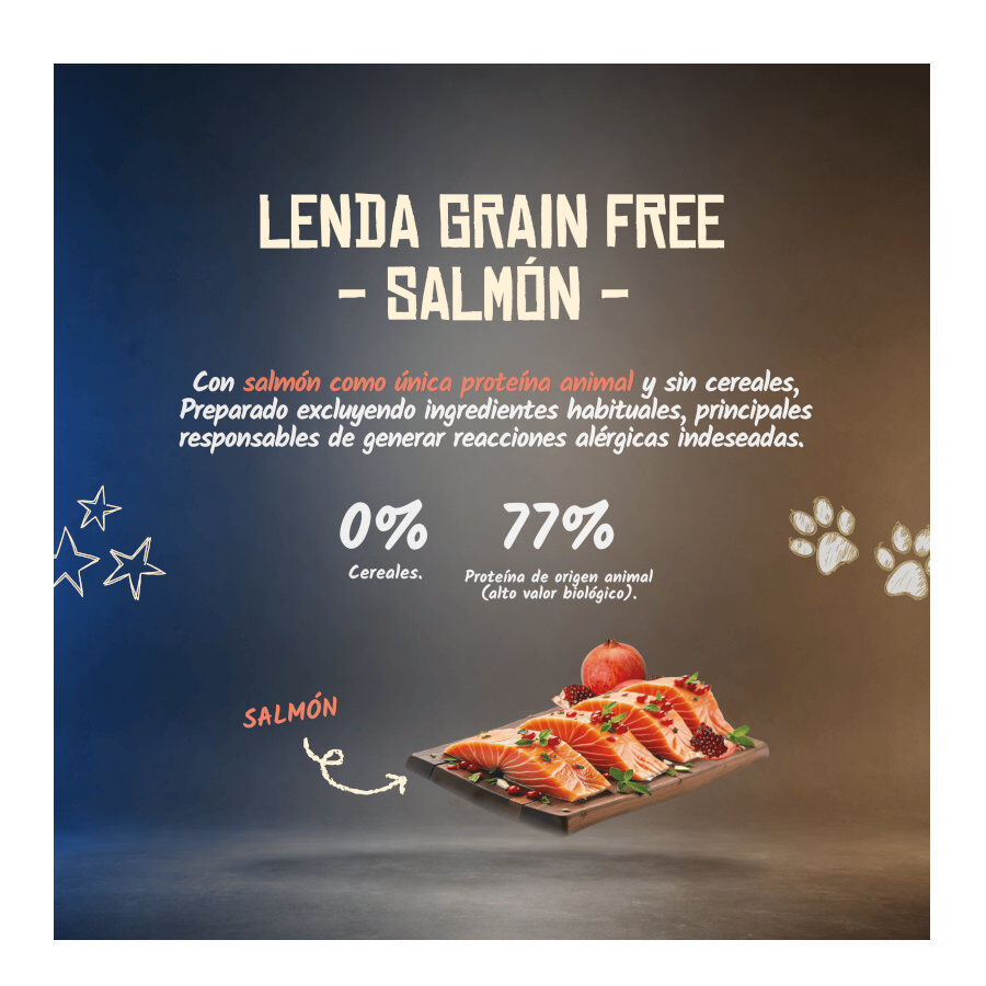 10 kg Lenda Grain Free Salm&oacute;n pienso para perros, , large Imagen numero 2