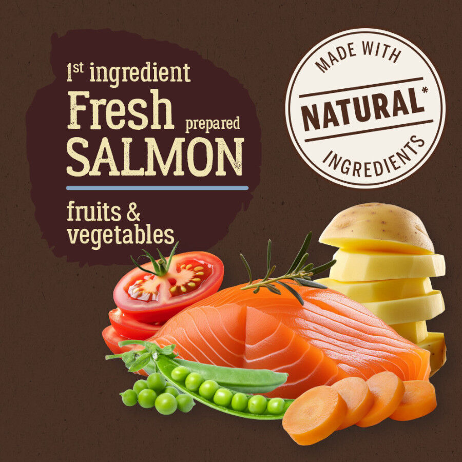 True Origins Pure Grain Free Adult Mini Salmón pienso para perros thumbnail