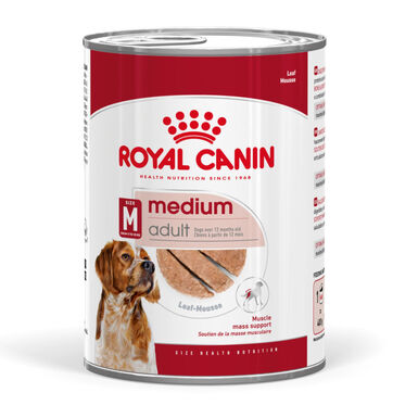 Royal Canin Medium Adult Paté lata para perros