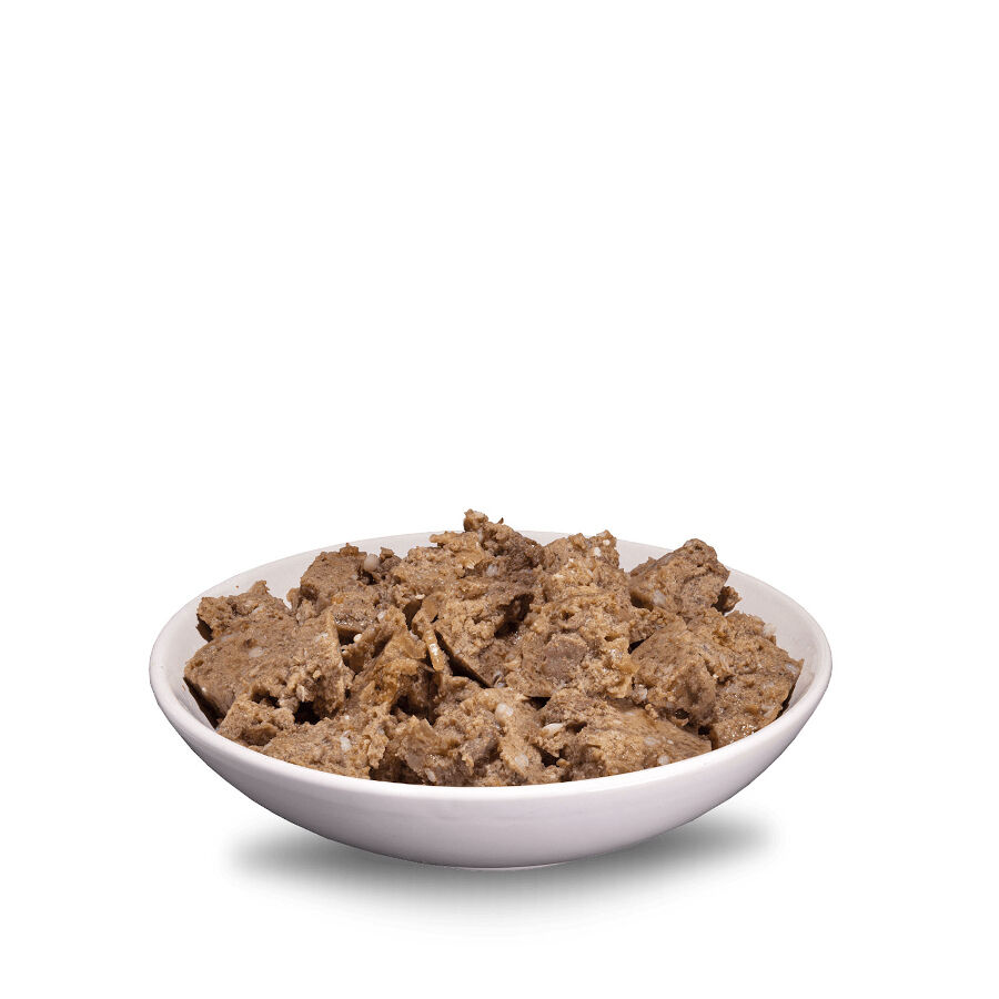 ERA Sybarite Adulto Pollo, Pescado y Calabaza en paté lata para perros thumbnail