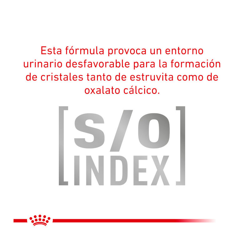 Royal Canin Veterinary Diet  Urinary S/O sobres para gato thumbnail