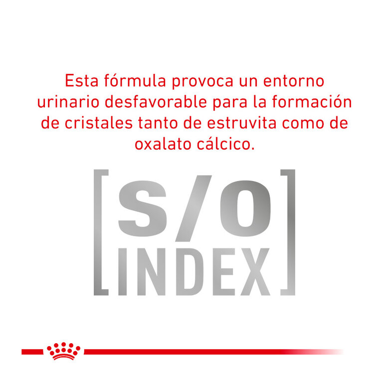 12 sobres x 85 g Royal Canin Veterinary Diet  Urinary S/O sobres para gato,  Imagen numero 7 12 sobres x 85 g Royal Canin Veterinary Diet  Urinary S/O sobres para gato, , large Imagen numero 7
