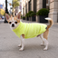 Gotoo Jersey Polar Verde Lima para perros, , large indicador imagen numero 1