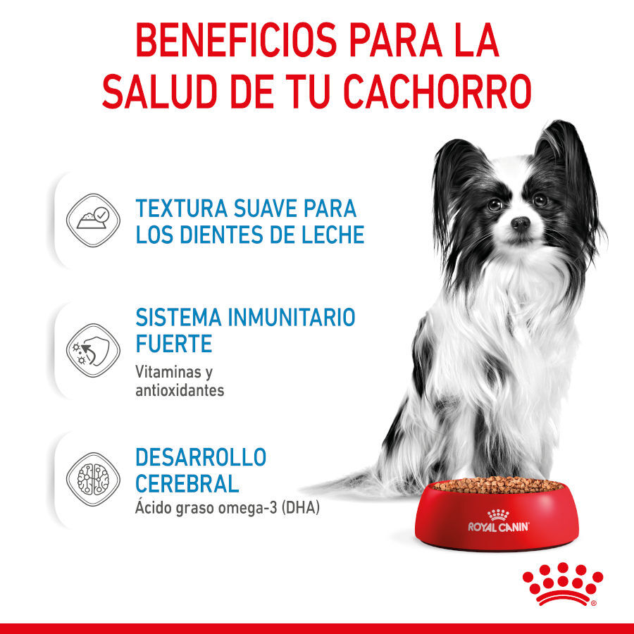 Royal Canin X-Small Puppy Trocitos en Salsa sobre para perros thumbnail