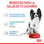 85 g Royal Canin X-Small Puppy Trocitos en Salsa sobre para perros, , large indicador imagen numero 6