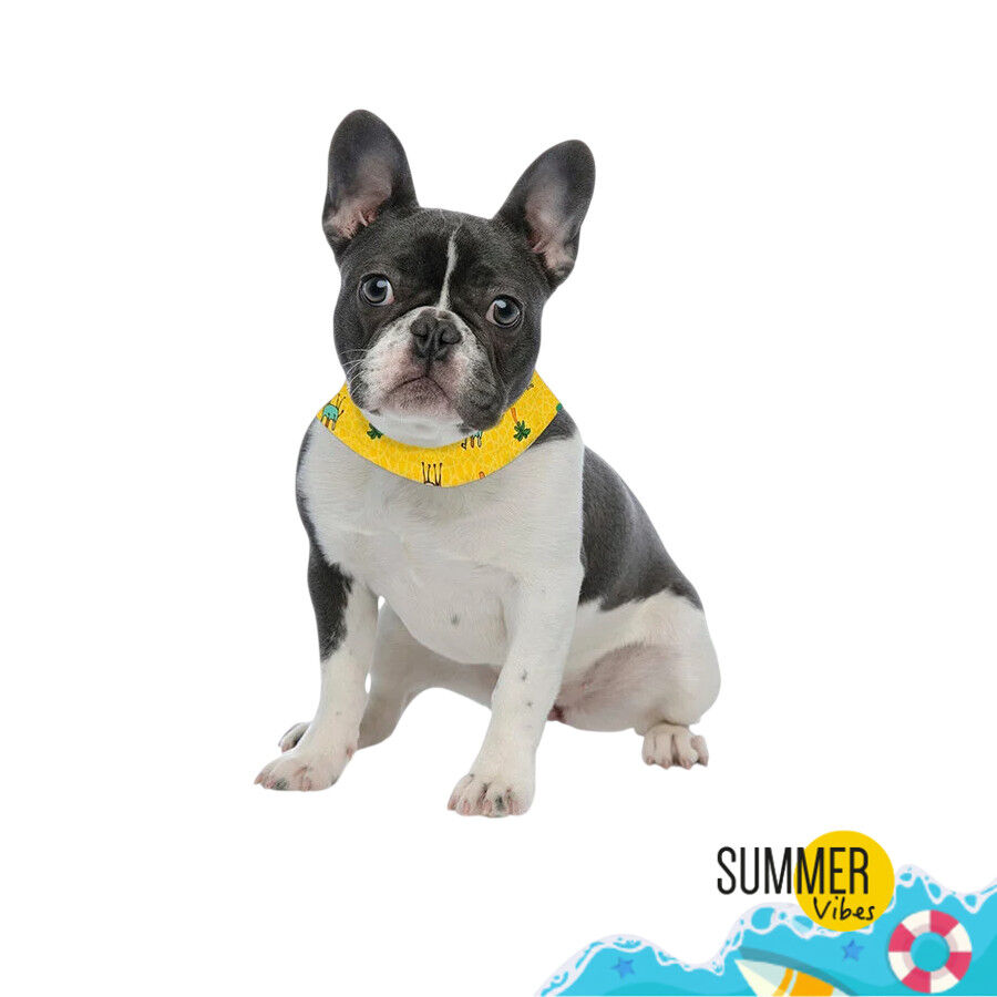 Summer Vibes Bandana refrescante para perros, , large Imagen numero 2