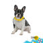 Summer Vibes Bandana refrescante para perros, , large indicador imagen numero 2