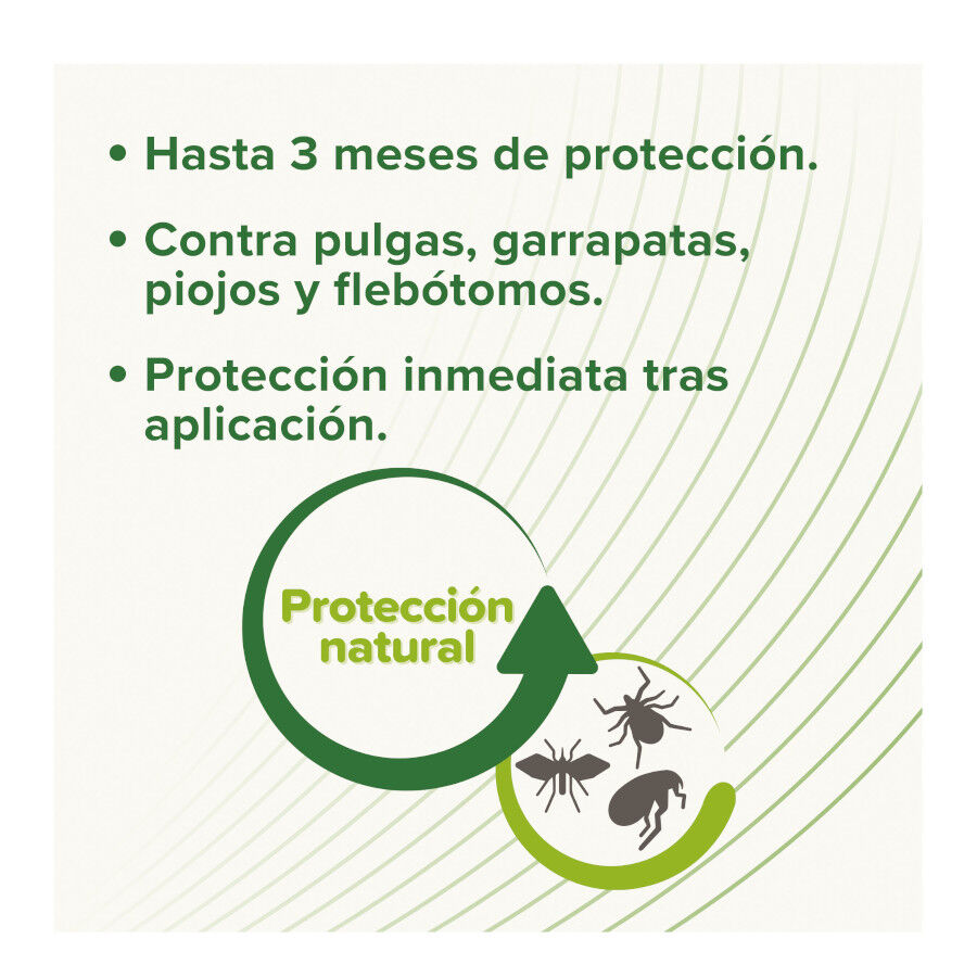 Beaphar Pipetas Repelentes para perros thumbnail